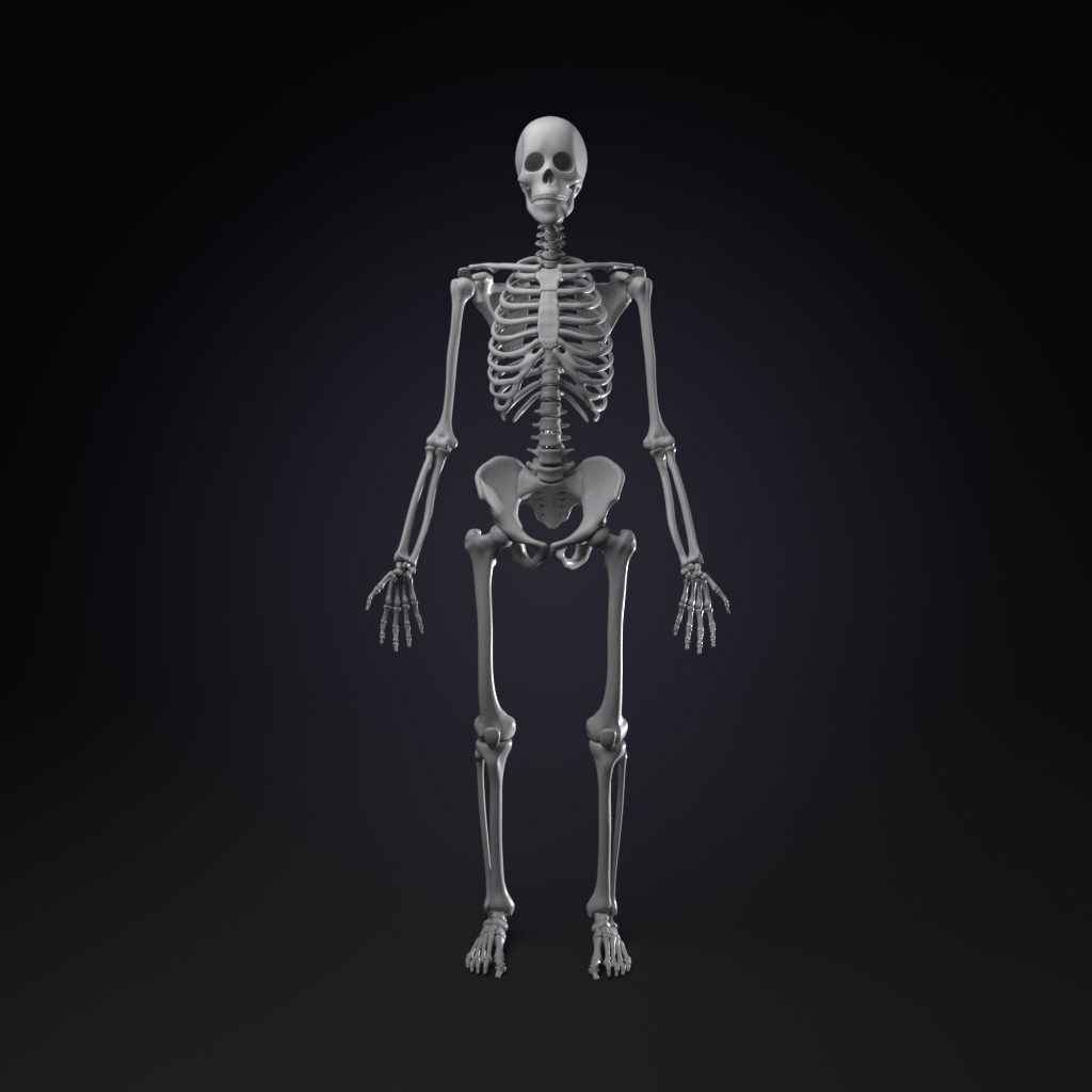 Skeleton preview image 2